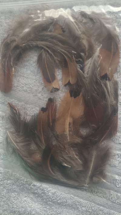 KDS Vogel veren - Dons- en vleugelveren voor decoratie en knutselen - 25 stuks