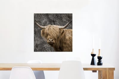 Aluminium schilderij 50x50 cm - Wanddecoratie metaal - Schotse hooglander - Wereldkaart - Dieren - Metalen muurdecoratie woonkamer - Decoratie industrieel - Foto op dibond - Industriële accessoires slaapkamer
