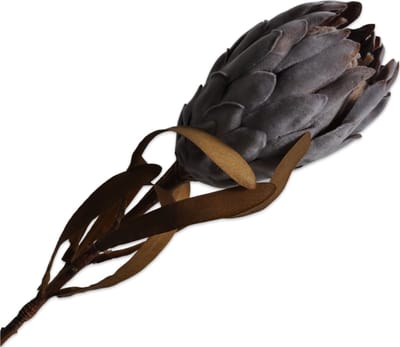 Silk-ka Kunstbloem-Zijde Bloem Protea Steel Grijs 62 cm