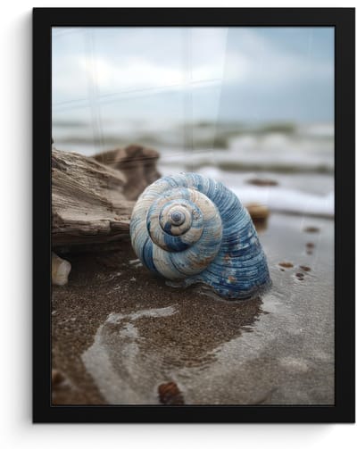 Poster in lijst - Fotolijst 30x40 cm - Posters - Schelp - Strand - Blauw - Zee - Posterlijst zwart - Decoratie - Wanddecoratie woonkamer - Muurdecoratie slaapkamer