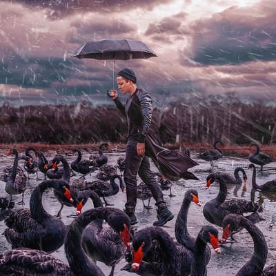 Glasschilderij 100x100cm the Black Swan Man