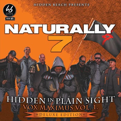 Hidden In Plain Sight