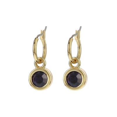 Biba Hang Oorbellen met Swarovski Steentje Purple Velvet Goud