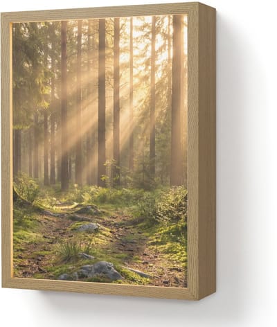 Wandlamp 30x40 cm - Oplaadbaar - Bos - Zonlicht - Gras - Wandlampen binnen woonkamer - Slaapkamer lamp - Decoratieve nachtlamp - Vloerlamp draadloos