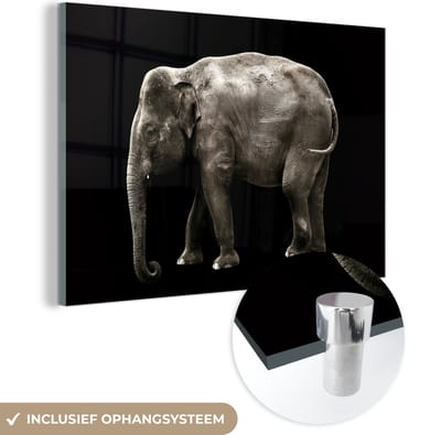 MuchoWow® Glasschilderij 120x80 cm - Schilderij acrylglas - Olifant - Wilde dieren - Zwart - Foto op glas - Schilderijen