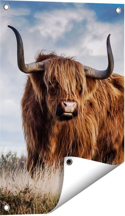 Gards Tuinposter Schotse Hooglander Koe - Kleur - 40x60 cm - Tuindoek - Tuindecoratie - Wanddecoratie buiten - Tuinschilderij