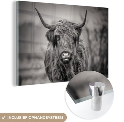 MuchoWow® Glasschilderij 150x100 cm - Schilderij acrylglas - Schotse Hooglander - Zwart - Wit - Foto op glas - Schilderijen