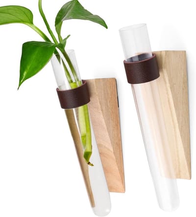 Set van 2 Hangende Testbuis Vazen voor Watercultuur, Ruimtebesparend en Decoratief voor Thuis, Kantoor en Raamdecoratie