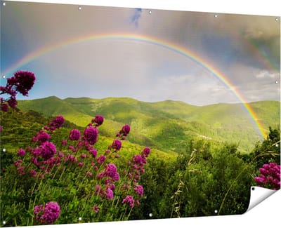 Gards Tuinposter Regenboog in de Heuvel Bossen - 180x120 cm - Tuindoek - Tuindecoratie - Wanddecoratie buiten - Tuinschilderij
