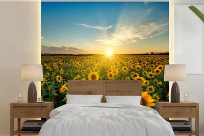 Behang - Fotobehang Zonsondergang - Bloemen - Zonnebloem - Horizon - Landschap - Breedte 220 cm x hoogte 220 cm