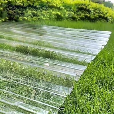 Dakplaten - Daglichtpanelen - Kas Bouwen - UV en scheurbestendig - 12 stuks 09 x 105m - Helder
