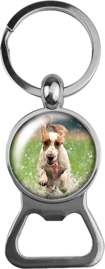 Bieropener Glas - Hond