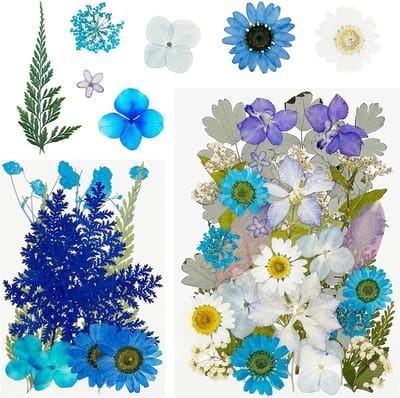 Natuurlijke Gedroogde en Geperste Bloemen - 40 Stuks, Blauwe Bladeren voor Hars, Scrapbooking en Sieraden Maken