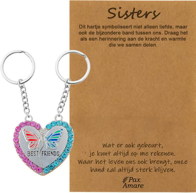 BFF Sleutelhanger voor 2 'Sisters' - Magnetisch Hartje met Vlinder - Sleutelhangers op Cadeau Kaartje - Zilverkleurig - Vriendschap Symbool - Pax Amare