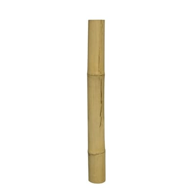 Hobby Bamboo Stix bamboestokken voor terrarium Diverse maten | klimmogelijkheden voor reptielen 50CM - Doorsnede 4,5-5,5CM
