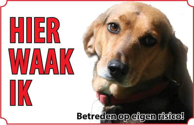 Bord Foxhound