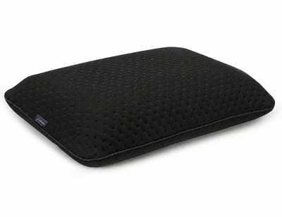 Alkamto Reiskussen 40x25x10 cm - Traagschuim - Extra Hoes - Zwart