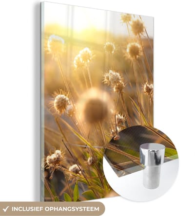 MuchoWow® Glasschilderij 30x40 cm - Schilderij acrylglas - Planten - Natuur - Bloemen - Zon - Horizon - Foto op glas - Schilderijen