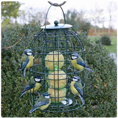 Bird-Feeder | Vetbolhouder voor Kleine Vogels met Beschermkooi - Rond - Groene Kleur - Vogelbescherming - Mezenbolhouder - Silo