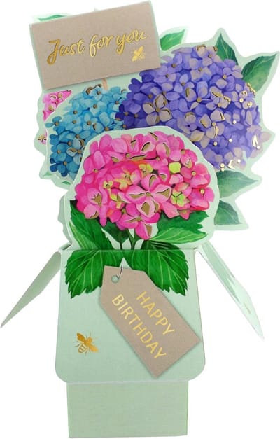 Slimme kubus speciaal voor u Hydra-Happy Birthday! Pop Up wenskaart CU009 Merk Mourik
