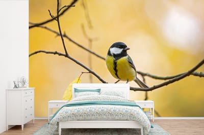 Behang - Fotobehang Koolmees - Tak - Vogel - Dieren - Breedte 525 cm x hoogte 350 cm