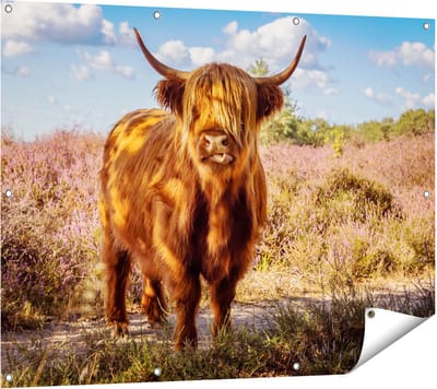 Gards Tuinposter Schotse Hooglander Koe in de Wei - 120x90 cm - Tuindoek - Tuindecoratie - Wanddecoratie buiten - Tuinschilderij