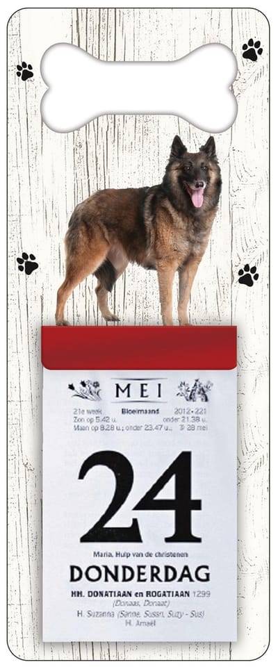 Scheurkalender 2027 Hond: Tervuurse Herder