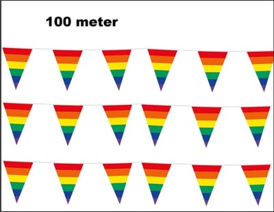 100 meter vlaggenlijn regenboog - 10 stuks van elk 10 meter - Rainbow Festival party verjaardag thema feest versiering vlaglijn