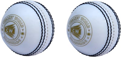 Cricket Bal - Oefenballen Trainingsset - Sport Training - Duurzaam Synthetisch Materiaal - 2 Stuks - Wit