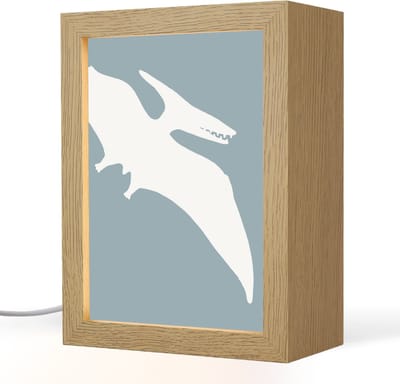 Nachtlampje 15x20 cm - Kinder lampje - Dino - Pteranodon - Dinosaurus - Blauw - Tafellamp kinderkamer - Slaapkamer lamp - Bedlamp kinderen - Kinderlampje stopcontact - Wandlamp babykamer - Nachtlampjes