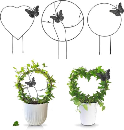 Plantenstengelsteunen - 3 Stuks - Plantenstandaard - klein latwerk voor potplanten - Plantenbevestigingshaken - Klimhulp - Voor wijnstokken op tafelbladen, balkons, tuinen en gazons - Zwart