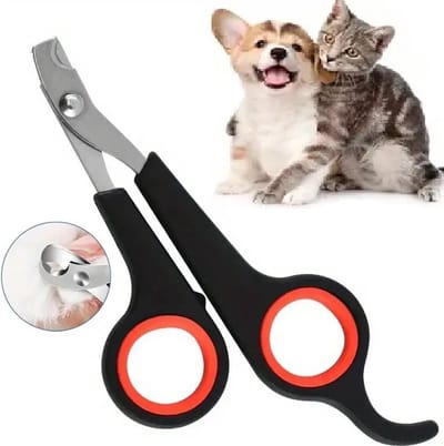 Nagelschaartje Dier I Nagelschaar Hond En Kat I Nagelknipper Dier I Nagels Schaar I Dieren Nagelschaartje