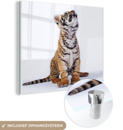 MuchoWow® Glasschilderij 50x50 cm - Schilderij acrylglas - Tijger - Welp - Wit - Foto op glas - Schilderijen