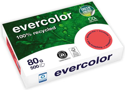 Clairefontaine Evercolor, gekleurd gerecycleerd papier, A4, 80 g, 500 vel, ivoor 5 stuks