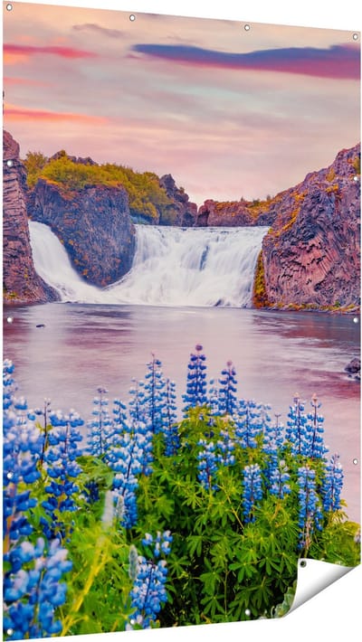 Gards Tuinposter Waterval met Blauwe Lupine Bloemen - 120x180 cm - Tuindoek - Tuindecoratie - Wanddecoratie buiten - Tuinschilderij