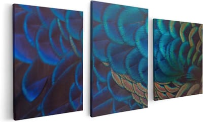 Artaza Canvas Schilderij Drieluik Kleurrijke Pauw Veren Van Dichtbij - 120x60 - Foto Op Canvas - Canvas Print