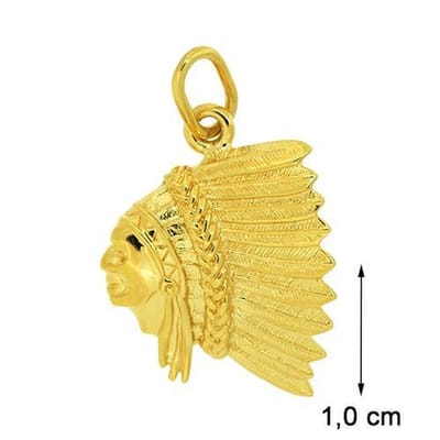 Blinx Jewels Vergulden Hanger Indianenhoofd