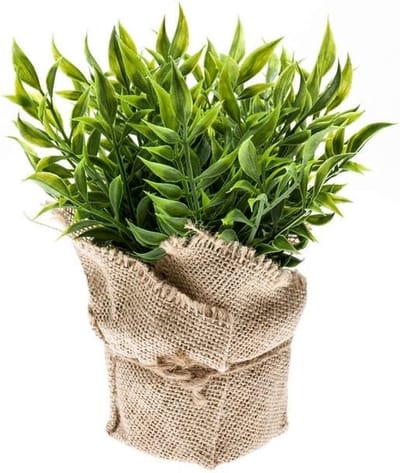 Emerald Kunstplant - Muizendoorn Kruidenplant - Groen - In Jute Pot - 20 cm