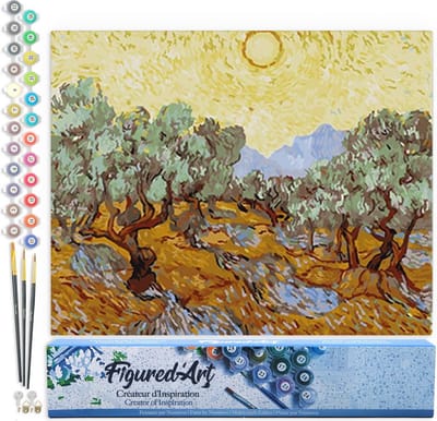 Figured'Art Schilderen op Nummer Volwassenen canvas Van Gogh St Remy - Handwerk acrylverf Kit DIY Compleet - 40x50cm zonder frame