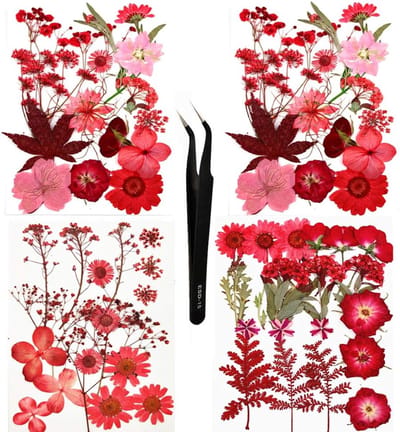 Gedroogde Bloemen - Natuurlijke Decoratie - Handgemaakte Projecten - 64 Stuks - Rood