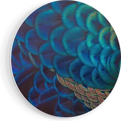 Artaza Forex Muurcirkel Kleurrijke Pauw Veren Van Dichtbij - 90x90 cm - Groot - Wandcirkel - Rond Schilderij - Muurdecoratie Cirkel