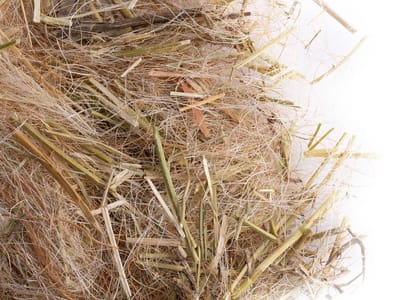 Nestmateriaal parkieten met actieve formule tegen parasieten - 50 gram - Nestmateriaal - Nesten - Agapornis fischeri - Agapornis roseicollis