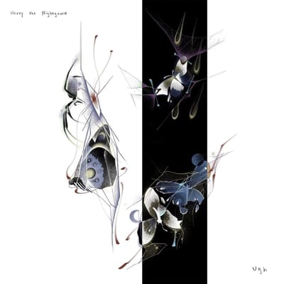 Harry The Nightgown - Ugh (LP)
