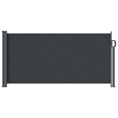 vidaXL - Uittrekbaar - Zijscherm - 300 - x - 100 - cm - Polyester - Rechthoekig - Zwart