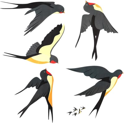 Dailygoods- Raamstickers Zwaluwen - 5 Stuks - Antibotsing - Statisch Hechtend - PVC - 15-20 cm - Voorkomt Vogelslag - Anti-botsingstickers