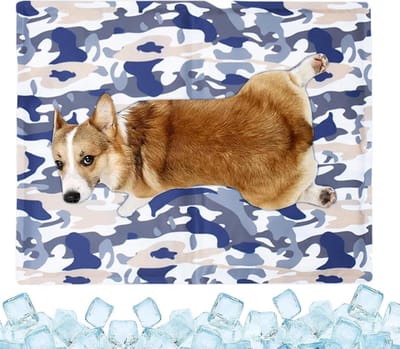 Honden Koelmat - Huisdier Koelmat - Zomerse Verkoeling - Geen Stroom Nodig - 40x30 cm - Blauw