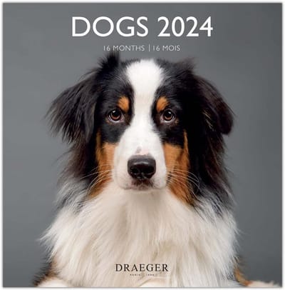 Grote Wandkalender Honden 16 Maanden 2024 - Decoratie en Organisatie