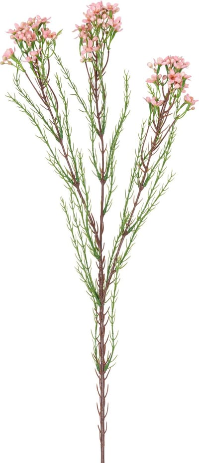 Easyplants | Kunsttak Waxflower 78 cm roze | Zijde | Nepbloemen | roze | Onderhoudsvrij | Kant-en-klaar