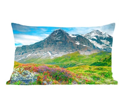 Sierkussens - Kussentjes Woonkamer - 50x30 cm - Bloemen - Berg - Sneeuw - Landschap