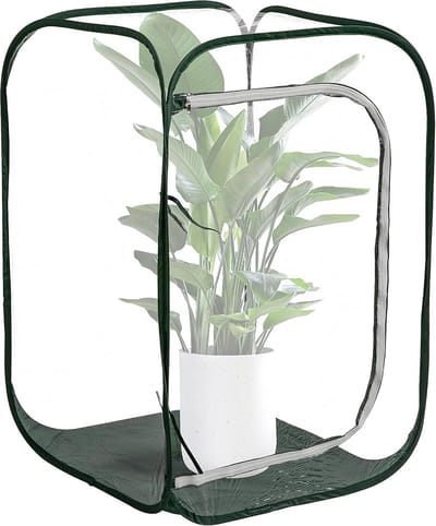 Mini Kas - Plantenhuisje - Planten Beschermen - Pop-up Ontwerp - 60x60x90 cm - Transparant
